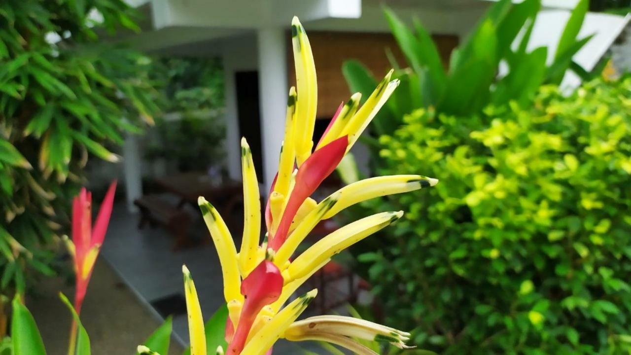 Sunbeam Villa Tangalle Exterior foto
